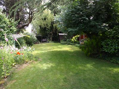 Picture 20